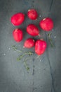 Fresh radishes. Young fresh radishes on a blue background