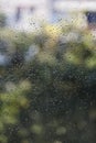 Fresh rain splash drops on a window with background nature in Bl