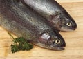 FRESH RAINBOW TROUT salmo gairdneri WITH PERSLEY Royalty Free Stock Photo