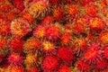 Fresh rambutan fruit bunch on local market in Sri Lanka Royalty Free Stock Photo