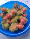 Fresh rambutan fruit from our own harvest Royalty Free Stock Photo