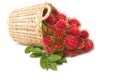 Fresh rambutan with leaf on the basket