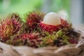 Fresh rambutan sweet delicious in the basket . tropical fruit Royalty Free Stock Photo