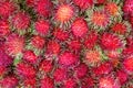 Fresh rambutan sweet delicious fruit at market in Thailand