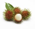 Fresh rambutan