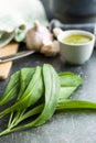 Fresh ramsons leaves.