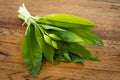 Fresh ramsons on a wooden plate