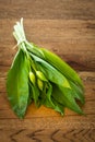 Fresh ramsons on a wooden plate