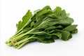 Fresh rapini on clean white backdrop for captivating advertisements and enticing packaging designs Royalty Free Stock Photo