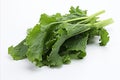 Fresh rapini vegetable on clean white backdrop for captivating ads and packaging designs Royalty Free Stock Photo