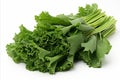 Fresh rapini vegetables on a clean white backdrop for captivating ads and packaging designs Royalty Free Stock Photo