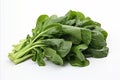 Fresh rapini vegetables on a clean white backdrop for captivating ads and packaging designs Royalty Free Stock Photo