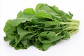 Fresh rapini on white background for eye catching advertisements and captivating packaging designs Royalty Free Stock Photo