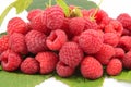 Fresh raspberries Royalty Free Stock Photo