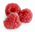 Fresh Raspberries