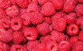 Fresh raspberries background closeup photo