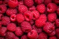 Fresh raspberries background closeup, raspberry texture, fruit summer backdrop for your design. The concept of a healthy diet, Royalty Free Stock Photo