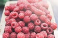 Fresh raspberries basket on brown rustic wood background Royalty Free Stock Photo