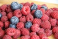 Wild summer berries blueberries and raspberries on a wooden backgroundFresh raspberries and blueberries on a white background clos Royalty Free Stock Photo