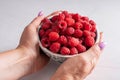 fresh raspberries in a bowl in woman hands, summer harvest fresh berries Royalty Free Stock Photo