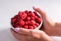fresh raspberries in a bowl in woman hands, summer harvest fresh berries