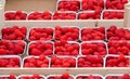 Fresh raspberries in boxes for sale Royalty Free Stock Photo