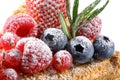 Fresh berries sprinkled with icing sugar close-up on fruit cream cake top with rosemary leaves isolated on white background Royalty Free Stock Photo