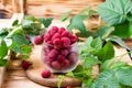 Fresh raspberries in a cup Royalty Free Stock Photo