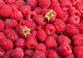 Fresh raspberries Royalty Free Stock Photo