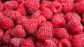 Fresh raspberries Royalty Free Stock Photo