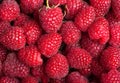 Fresh raspberries Royalty Free Stock Photo