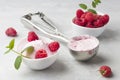 Fresh raspberries with mint and homemade ice cream in a white cup on a light background. Stainless steel spoon for ice cream balls Royalty Free Stock Photo