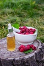 Fresh raspberries in a mortar with a bottle of natural herbal extract or essential oil outdoors. Royalty Free Stock Photo
