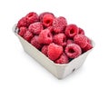 Fresh raspberries in a paper carton Royalty Free Stock Photo