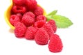 Fresh raspberries pouring out of yellow bowl. White background Royalty Free Stock Photo