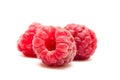 Fresh raspberries