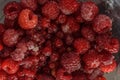 Fresh raspberries in a salad bowl