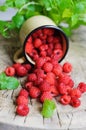 Fresh raspberries scattered from metal mug