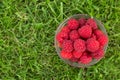 Fresh raspberries Royalty Free Stock Photo