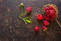 Fresh raspberries in vintage spoon vitamins healthy food vegan ingredients. Selective focus Royalty Free Stock Photo