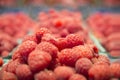 Fresh raspberry basket Royalty Free Stock Photo