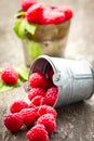 Fresh raspberry in the bucket Royalty Free Stock Photo