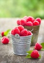 Fresh raspberry in the bucket Royalty Free Stock Photo