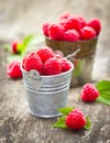 Fresh raspberry in the bucket Royalty Free Stock Photo