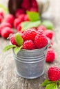 Fresh raspberry in the bucket Royalty Free Stock Photo