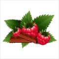 Fresh raspberry with chocolate and mint.