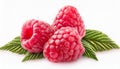 Fresh Raspberry, clipping path isolate on White background Royalty Free Stock Photo