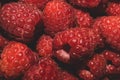 Fresh raspberry close up. ripe raspberries. red berry background
