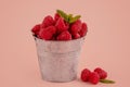 Fresh raspberry in a cup on pink background