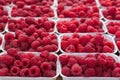 Fresh raspberry in farmers market
